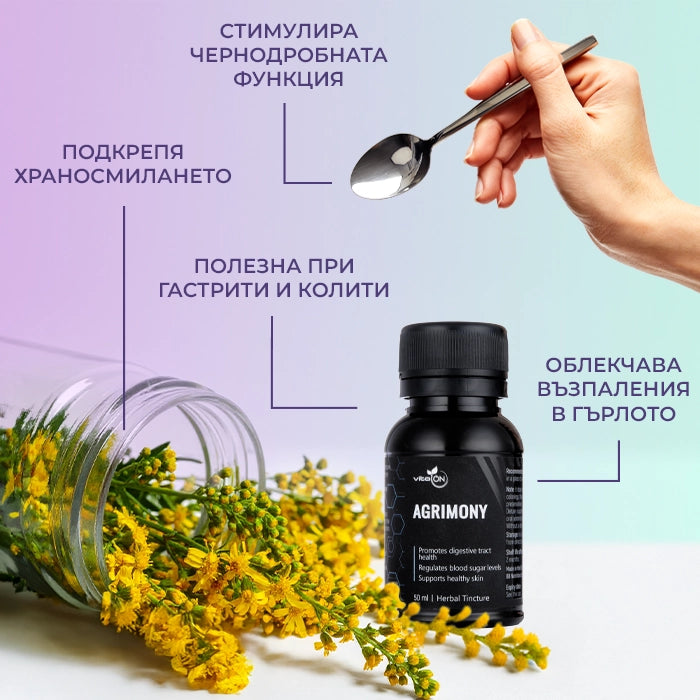 Ползи от приема на тинктура Аргимония