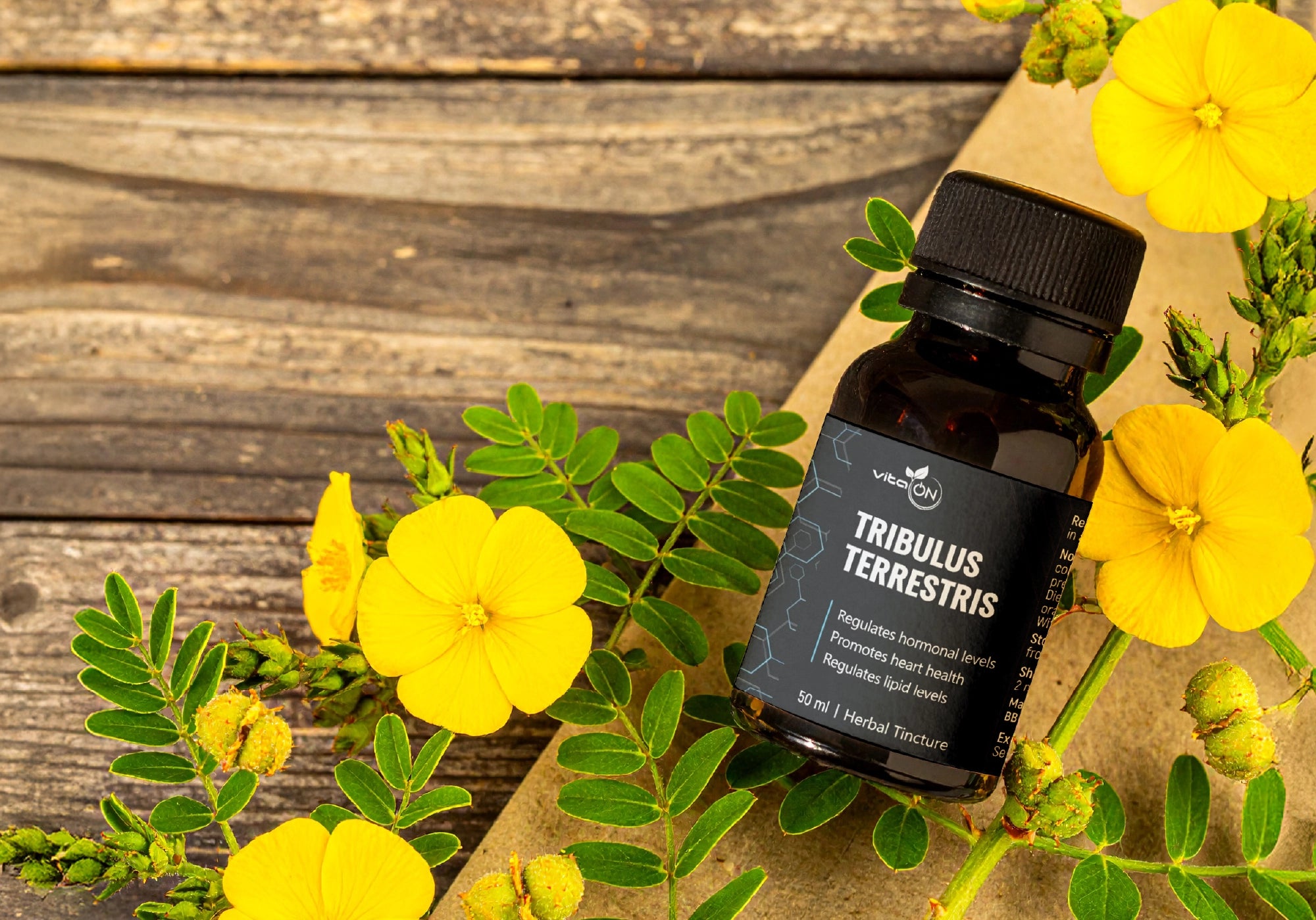 Трибулус терестрис билкова тинктура