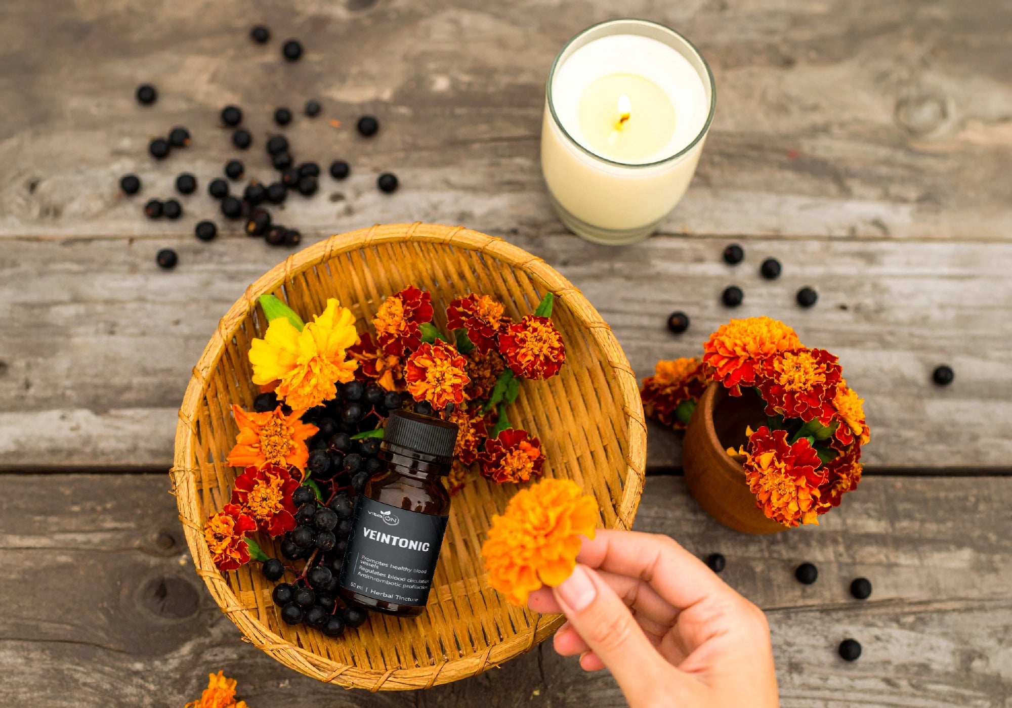 Венотоник илкова тинктура