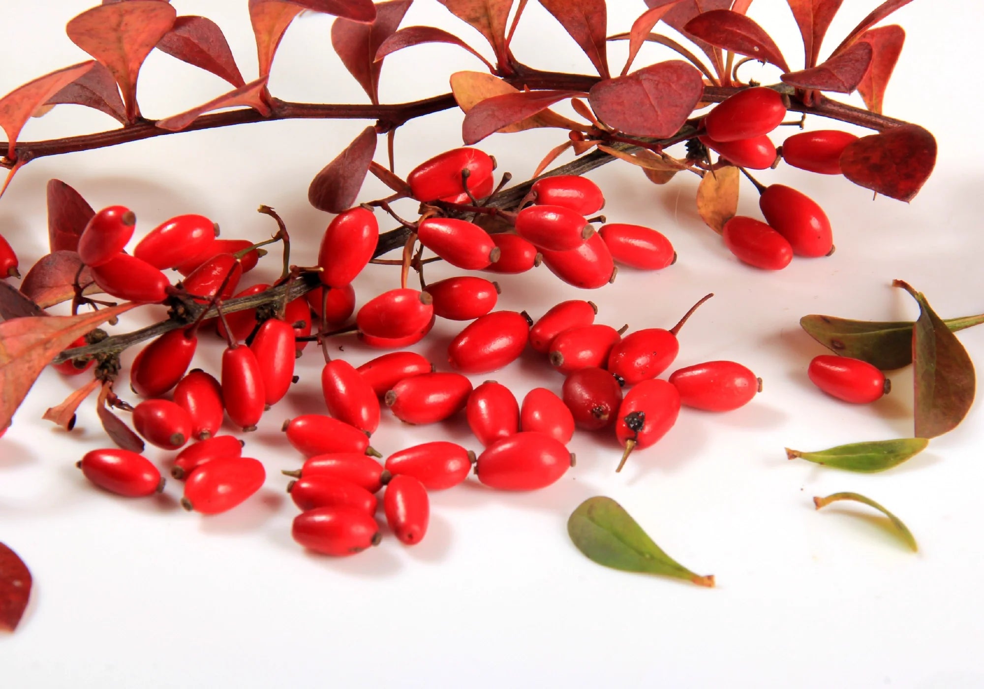 Берберин: ползи, странични ефекти и прием