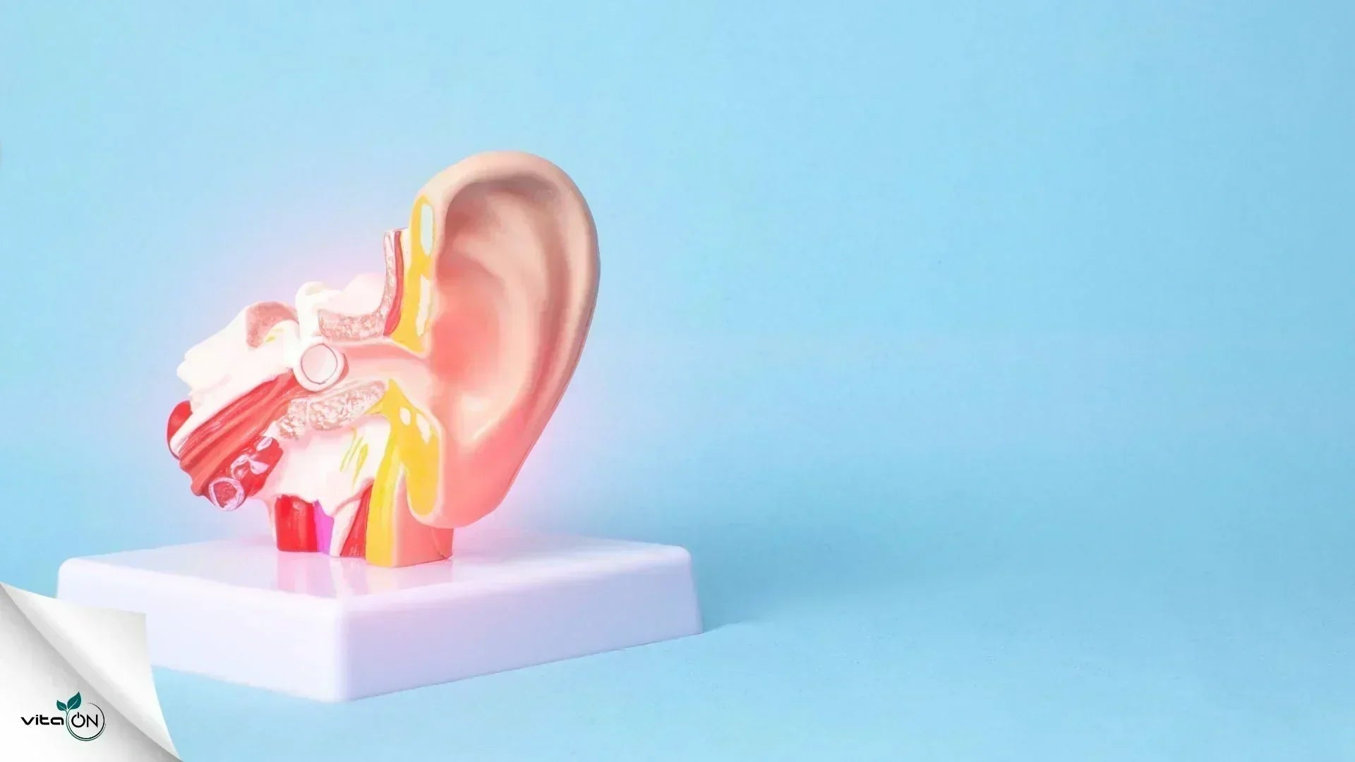 Възпаление на ухото: Причини и как да се справим